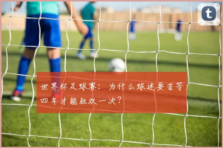 世界杯足球赛：为什么球迷要苦等四年才能狂欢一次？