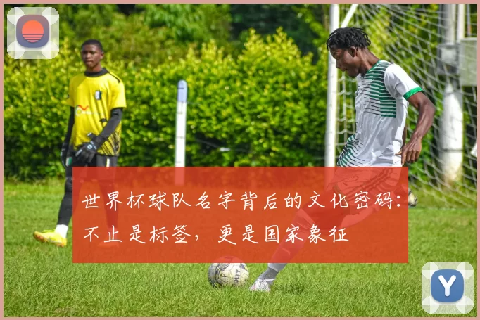 世界杯球队名字背后的文化密码:不止是标签,更是国家象征
