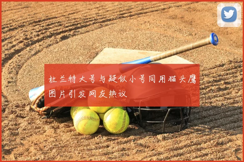 杜兰特大号与疑似小号同用猫头鹰图片引发网友热议