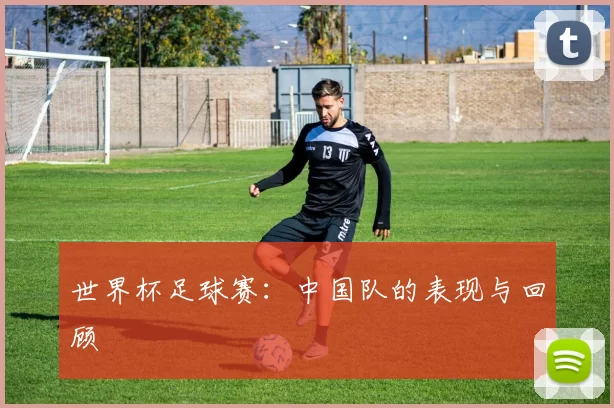 世界杯足球赛:中国队的表现与回顾