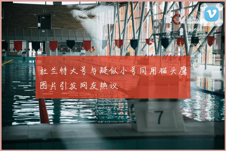 杜兰特大号与疑似小号同用猫头鹰图片引发网友热议