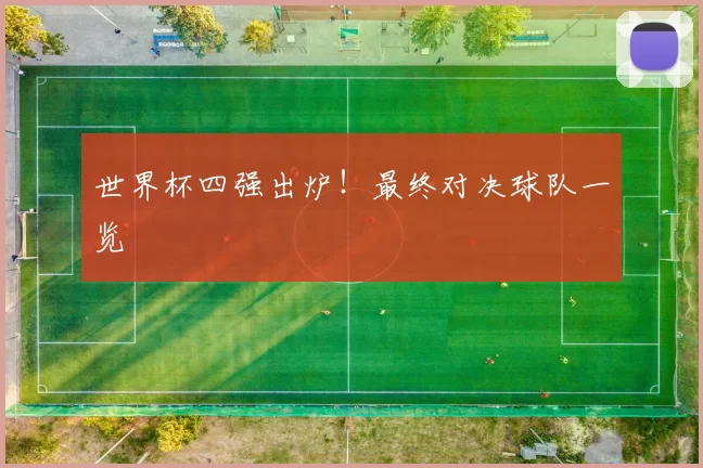 世界杯四强出炉！最终对决球队一览