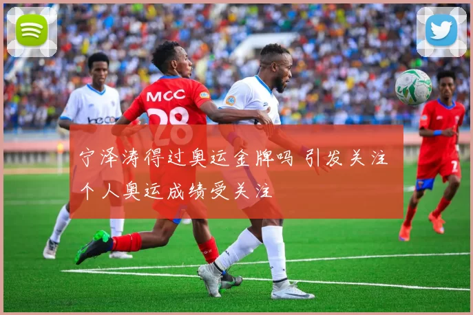 宁泽涛得过奥运金牌吗 引发关注 个人奥运成绩受关注